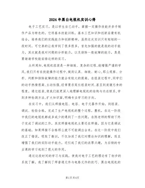2024年黑白电视机实训心得(2篇)