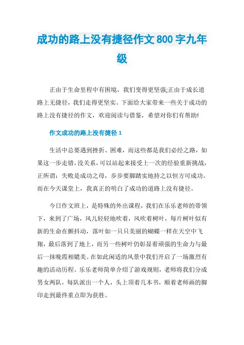 成功的路上没有捷径作文800字九年级