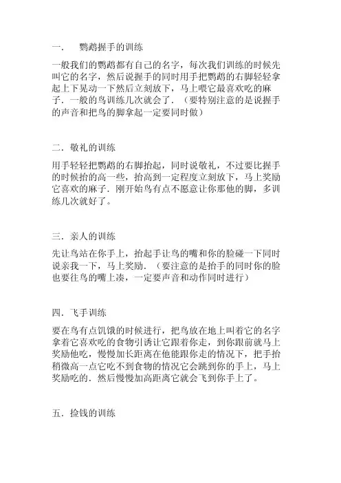 鹦鹉训练方法大全