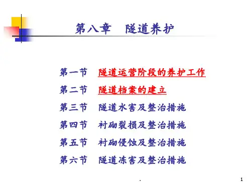 8.1隧道的养护与档案的建立PPT课件