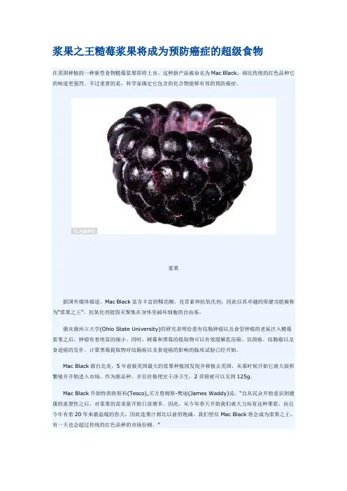 浆果之王糙莓浆果将成为预防癌症的超级食物