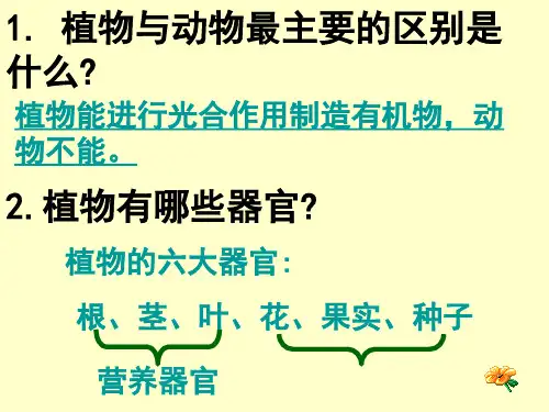 25常见的植物 第一课时PPT课件
