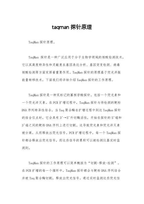 taqman探针原理