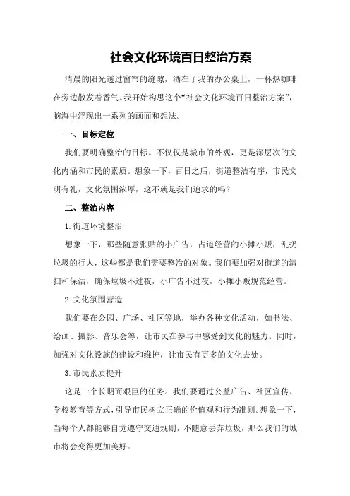 社会文化环境百日整治方案