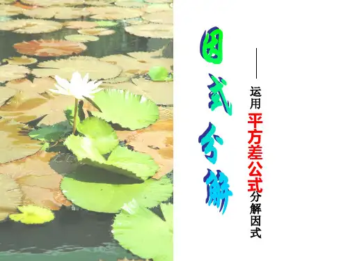 4.3公式法(1)平方差公式