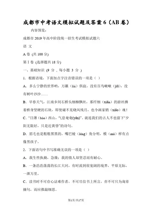 成都市中考语文模拟试题及答案6(AB卷)