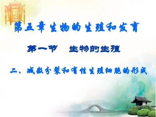 减数分裂全课时 公开课一等奖课件