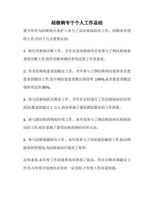 结核病专干个人工作总结