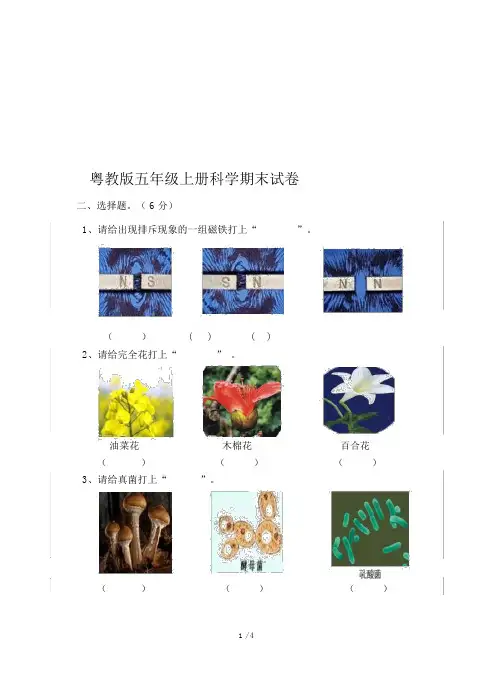 粤教版五年级上册科学期末试卷.doc