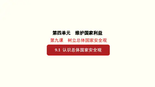 9.1 认识总体国家安全观-八年级道德与法治上册(部编版)