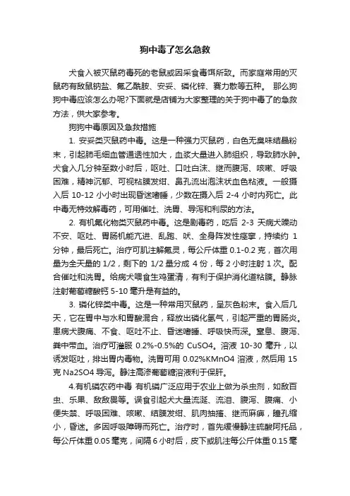 狗中毒了怎么急救