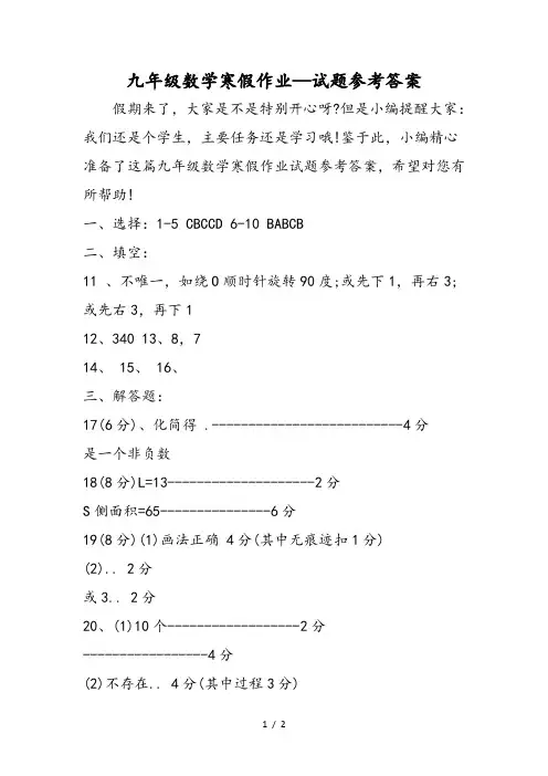 九年级数学寒假作业试题参考答案