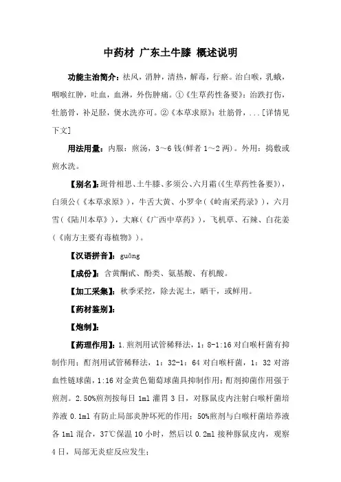 中药材 广东土牛膝 概述说明