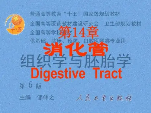 组织胚胎学14消化管ppt课件