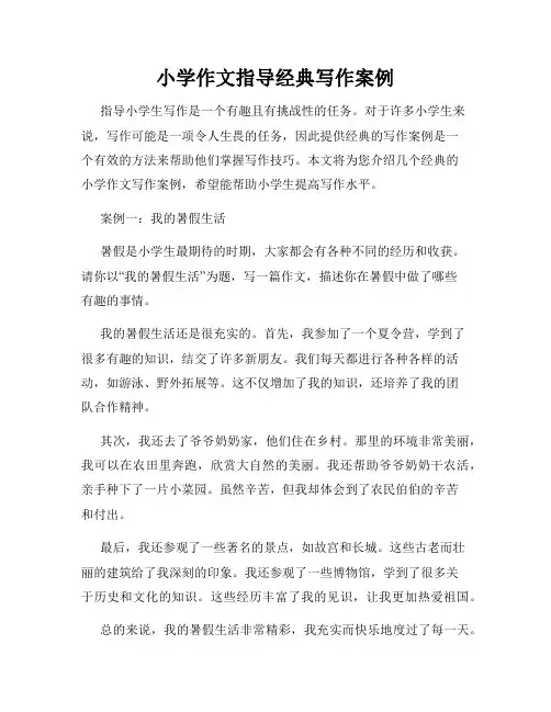 小学作文指导经典写作案例