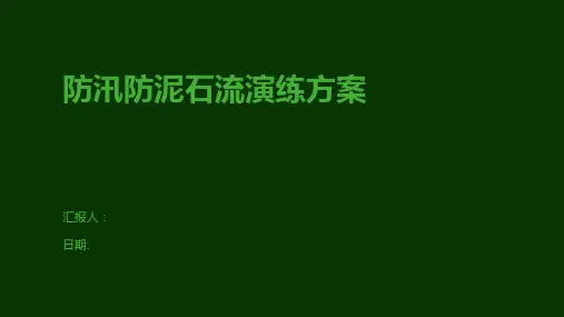 防汛防泥石流演练方案