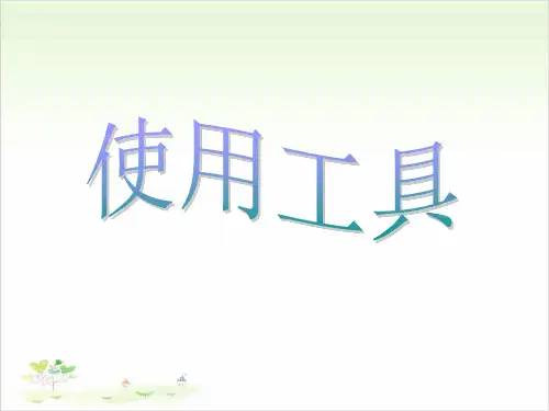 六年级上册科学-使用工具-教科版(共13张)-PPT课堂课件