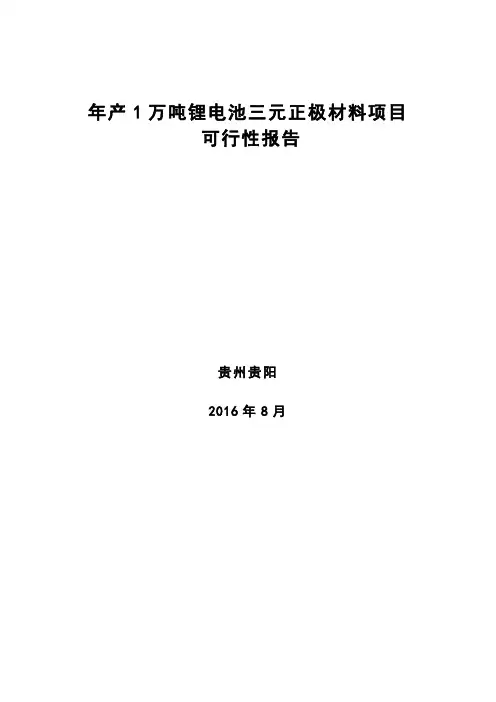 年产1万吨锂电池三元正极材料可行性报告讲解