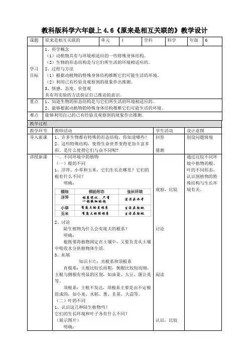 六年级上册科学教案 - 4.6《原来是相互关联的》  教科版
