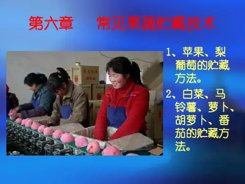 第六章、常见果蔬贮藏技术案例