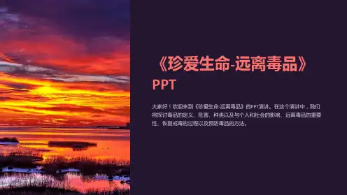 《珍爱生命-远离毒品》PPT