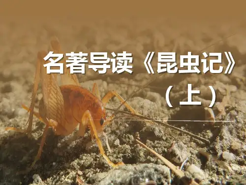 部编版语文八年级上册  第五单元名著导读《昆虫记》讲练课件(共59张ppt)