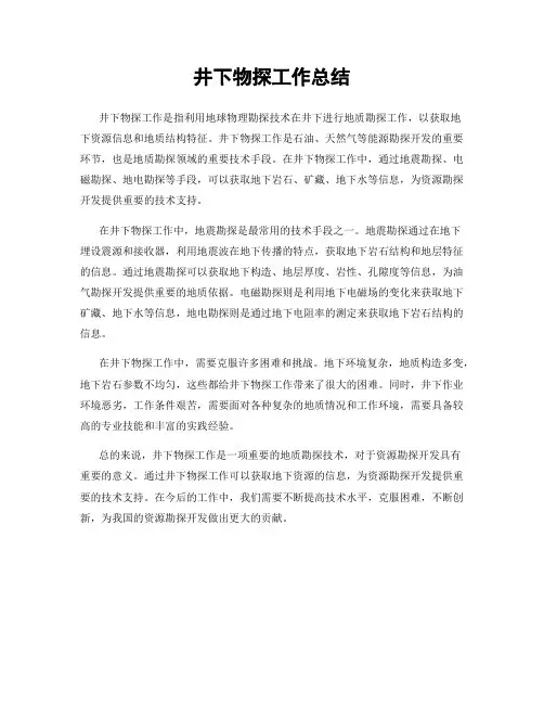 井下物探工作总结