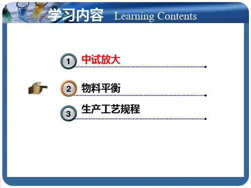 精选化学制药工艺学课件第5章中试放大与生产工艺规程