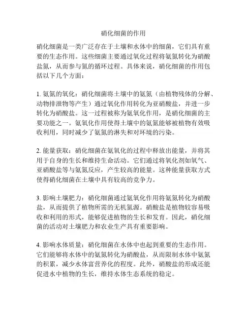 硝化细菌的作用
