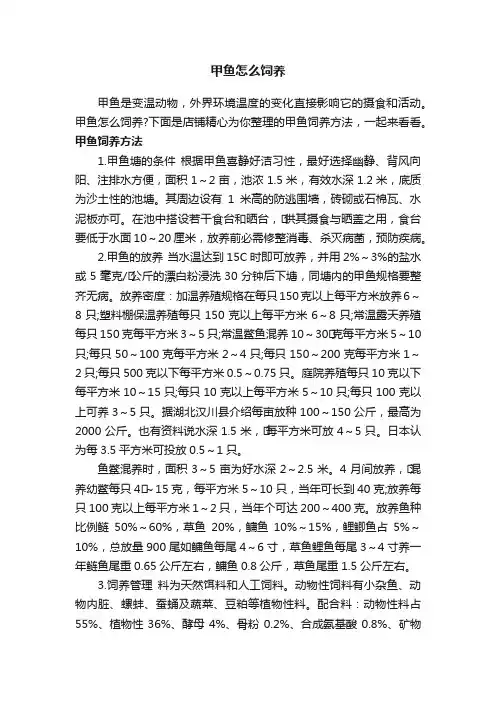 甲鱼怎么饲养