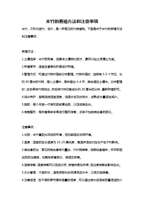 米竹的养殖方法和注意事项