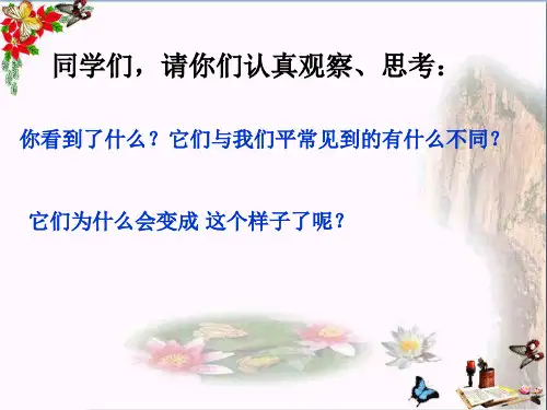 (精选)六年级科学上册馒头发霉了ppt课件1苏教版