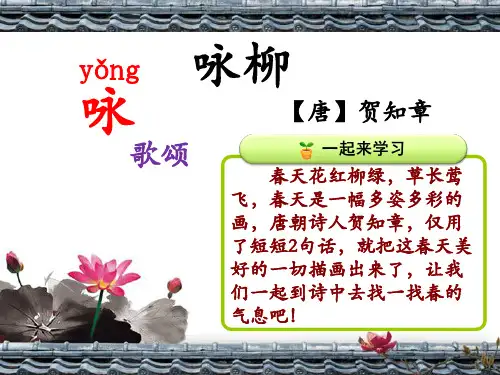 二年级语文下册1咏柳(课件)(共16张PPT)
