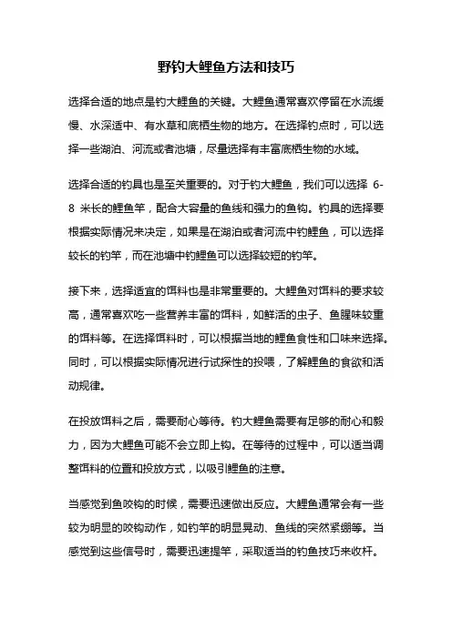 野钓大鲤鱼方法和技巧