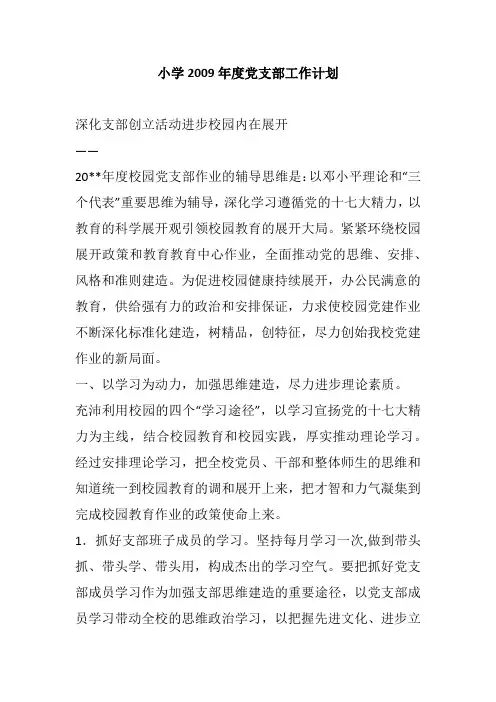 小学2009年度党支部工作计划