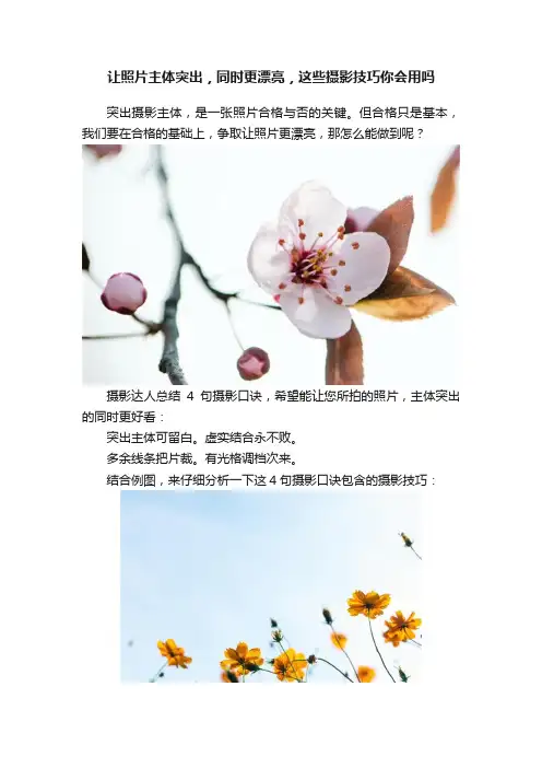 让照片主体突出，同时更漂亮，这些摄影技巧你会用吗
