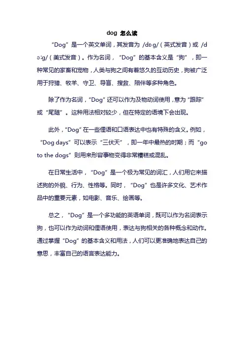dog 怎么读