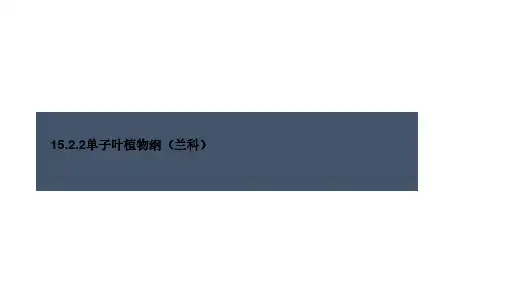被子植物-兰科