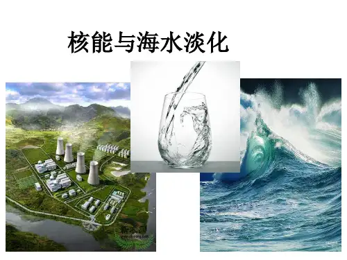 核能与海水淡化1解析