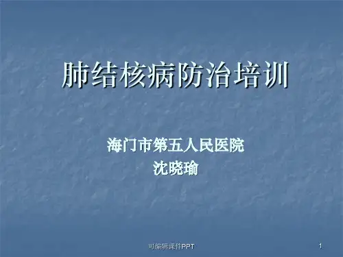 结核病培训完整ppt课件