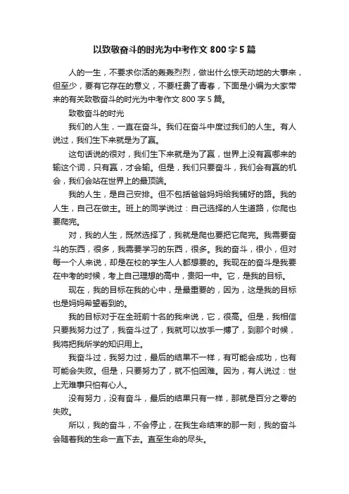 以致敬奋斗的时光为中考作文800字5篇