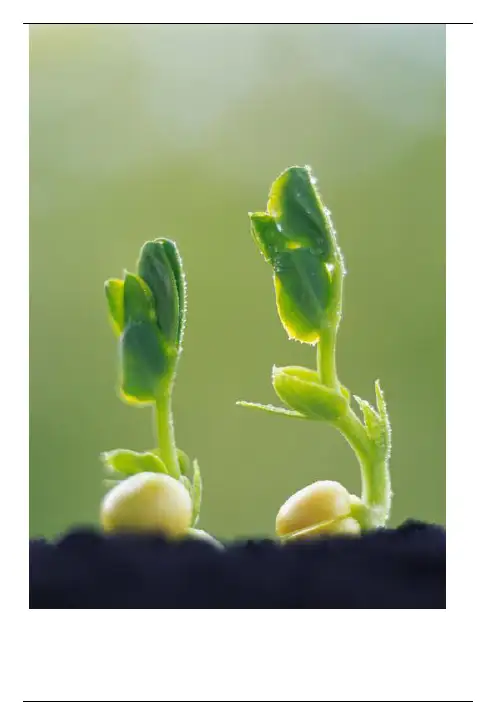小说阅读最全知识点，典藏！
