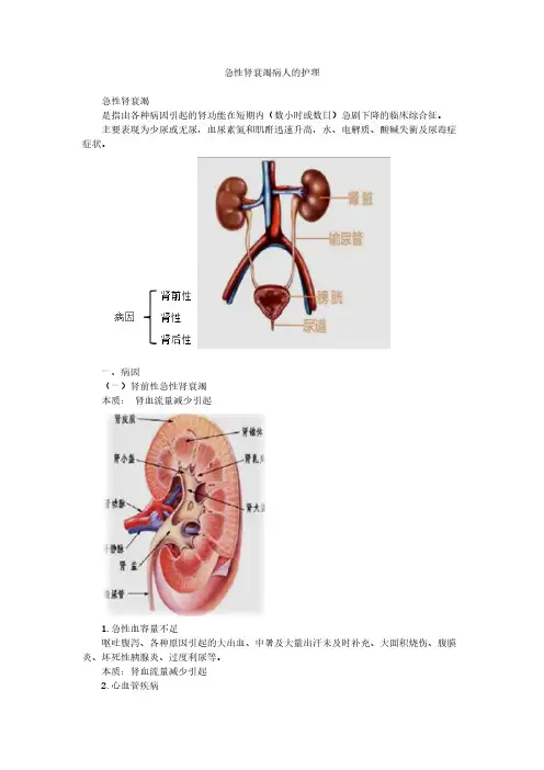 急性肾衰竭病人的护理
