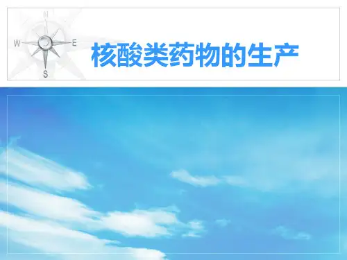 核酸类药物的生产