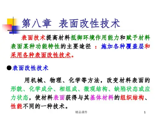 表面改性技术ppt课件