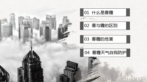 灰色雾霾的认识与防护教育PPT