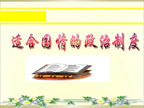 适合国情的政治制度