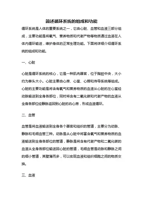 简述循环系统的组成和功能