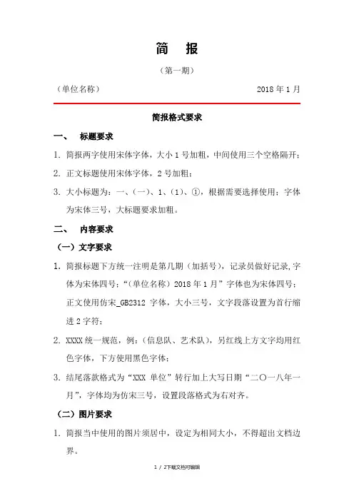 标准简报格式