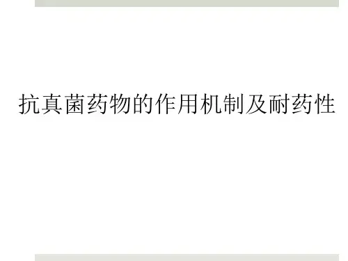 抗真菌药物的作用机制及耐药性ppt课件